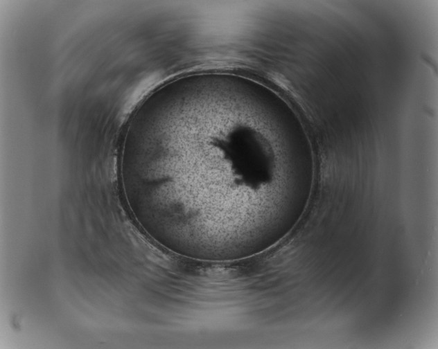 X0000101681459200807171400