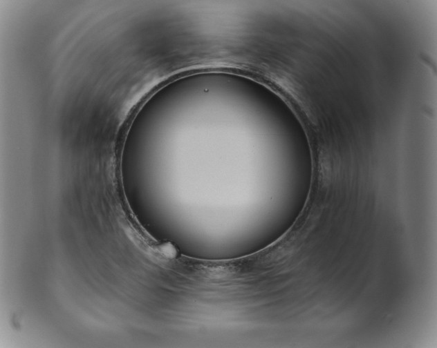 X0000101681460200807171400