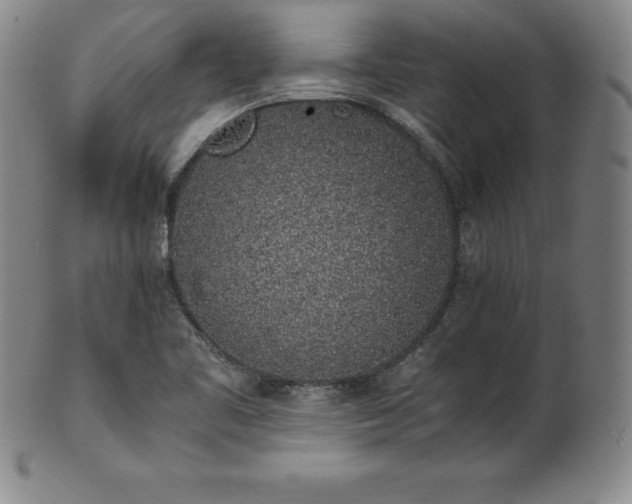 X0000101681461200807171400