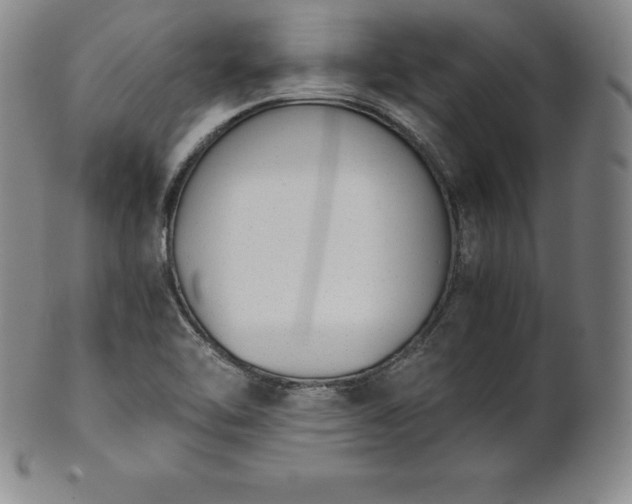 X0000101681462200807171400