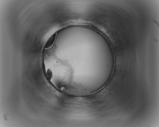 X0000101681463200807171400