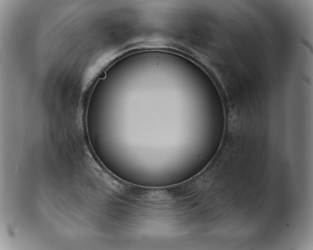 X0000101681464200807171400