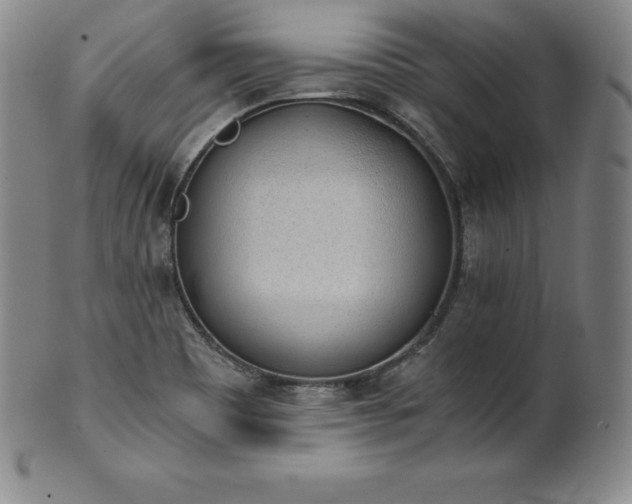 X0000101681465200807171400