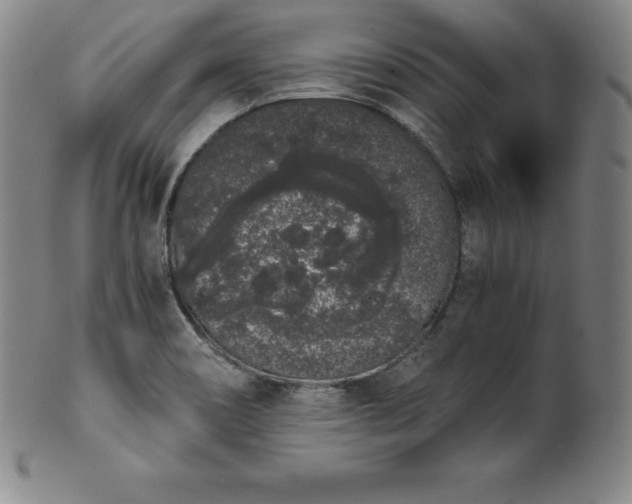 X0000101681466200807171400