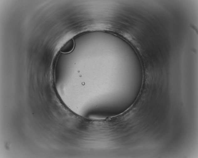 X0000101681469200807171400