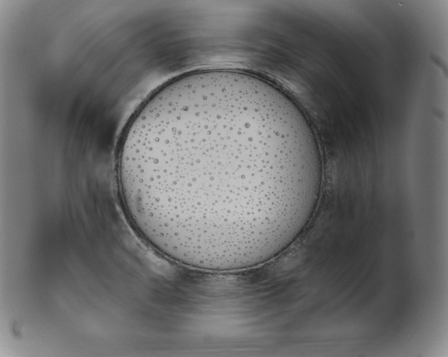 X0000101681470200807171400