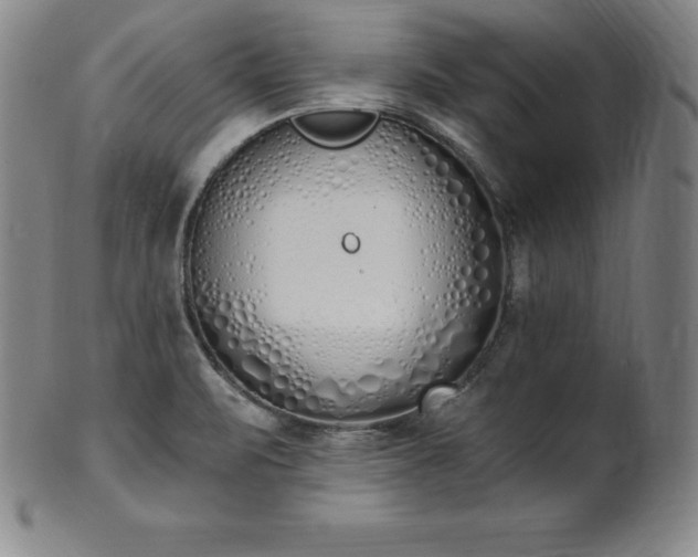 X0000101681471200807171400