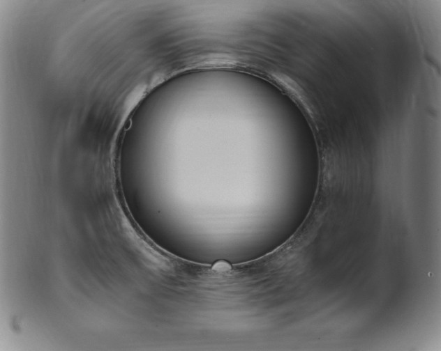 X0000101681475200807171400