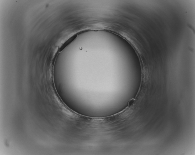 X0000101681477200807171400