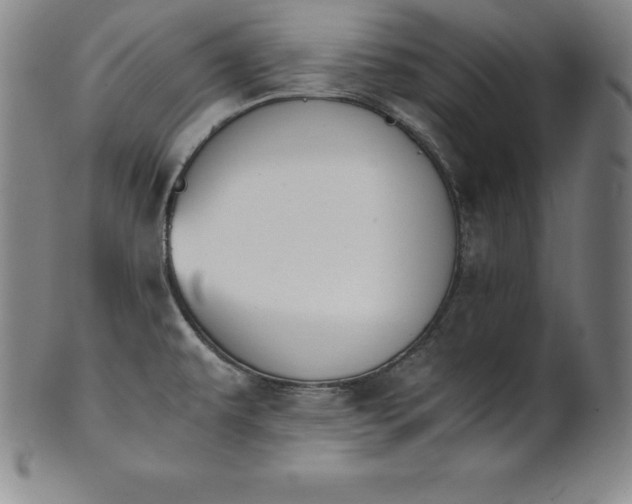 X0000101681479200807171400