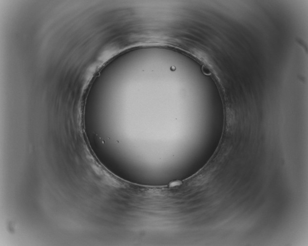 X0000101681480200807171400