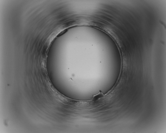 X0000101681481200807171400