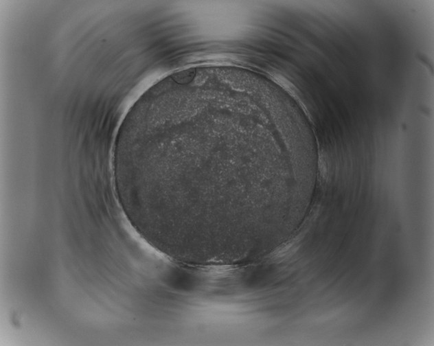 X0000101681482200807171400