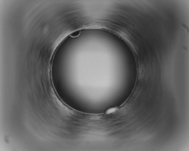 X0000101681484200807171400