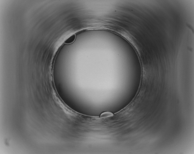 X0000101681485200807171400