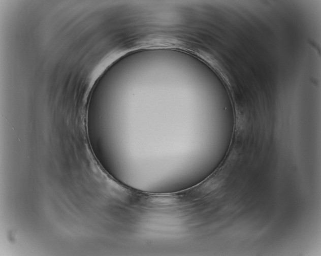 X0000101681486200807171400