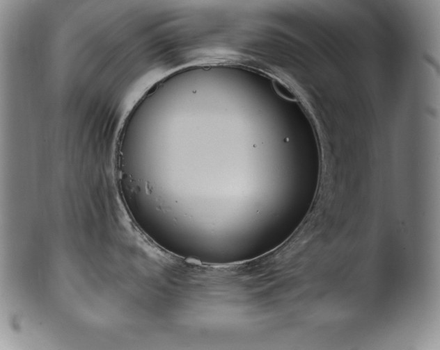 X0000101681488200807171400