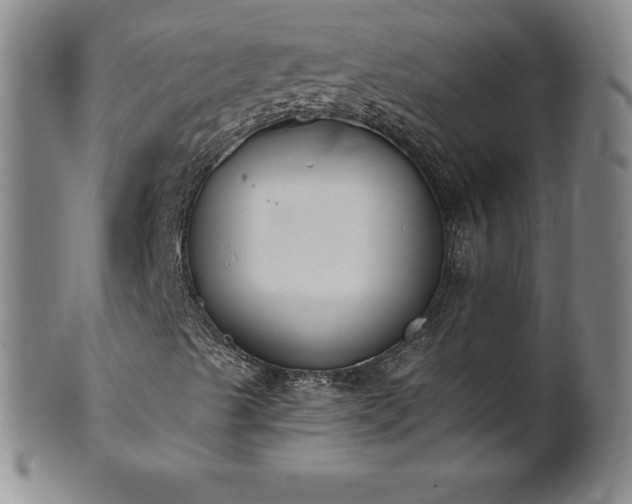 X0000101681489200807171359