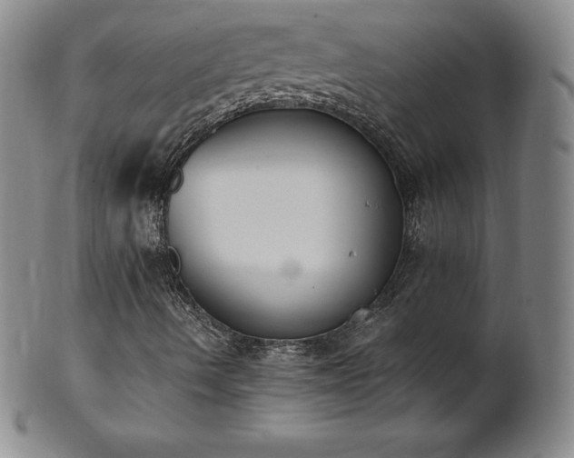 X0000101681490200807171359