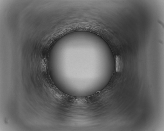 X0000101681491200807171359