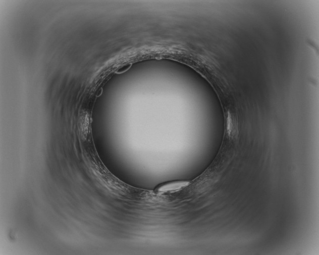 X0000101681492200807171359