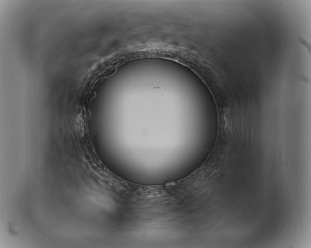 X0000101681493200807171359