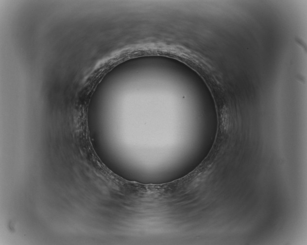 X0000101681494200807171359