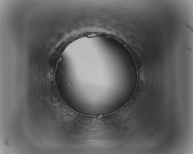 X0000101681495200807171359