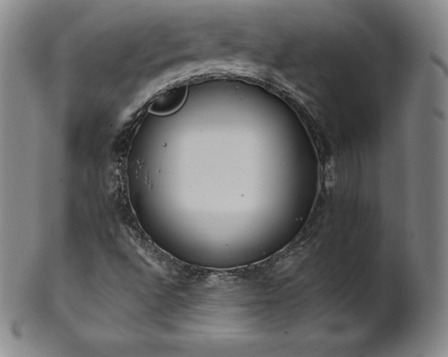 X0000101681496200807171359