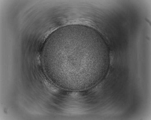 X0000101681497200807171359