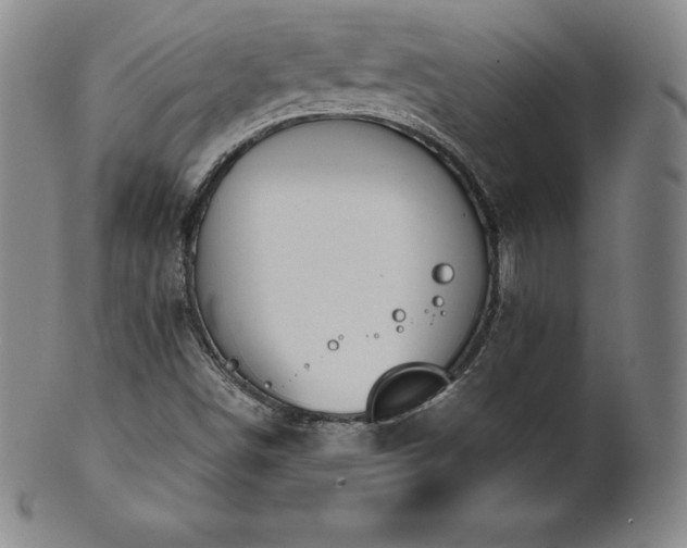 X0000101681498200807171359