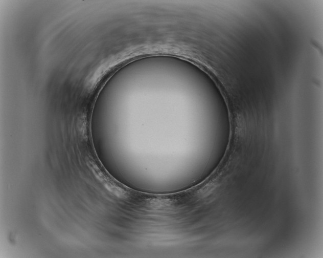 X0000101681499200807171359