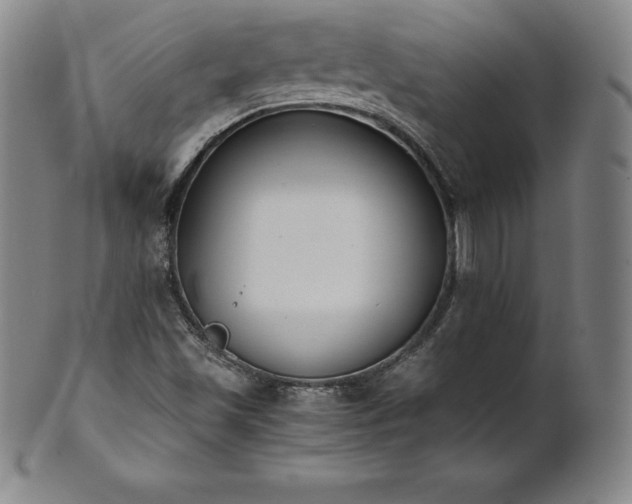 X0000101681501200807171359