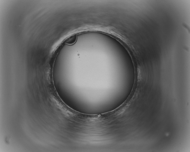 X0000101681502200807171359