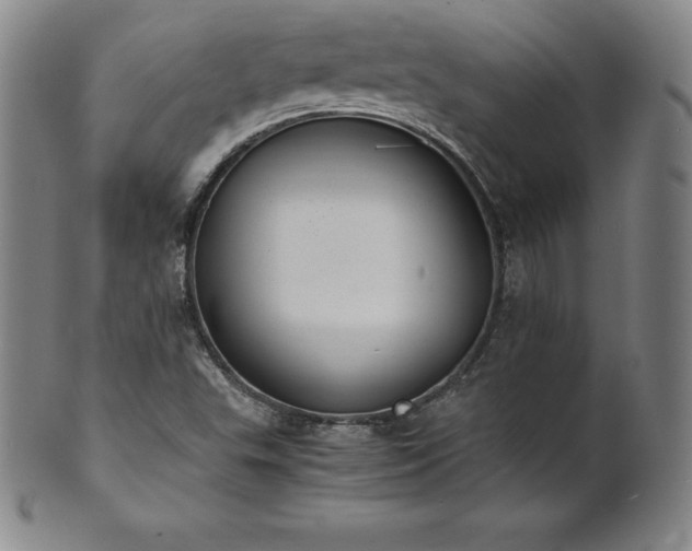 X0000101681503200807171359