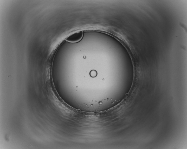 X0000101681504200807171359