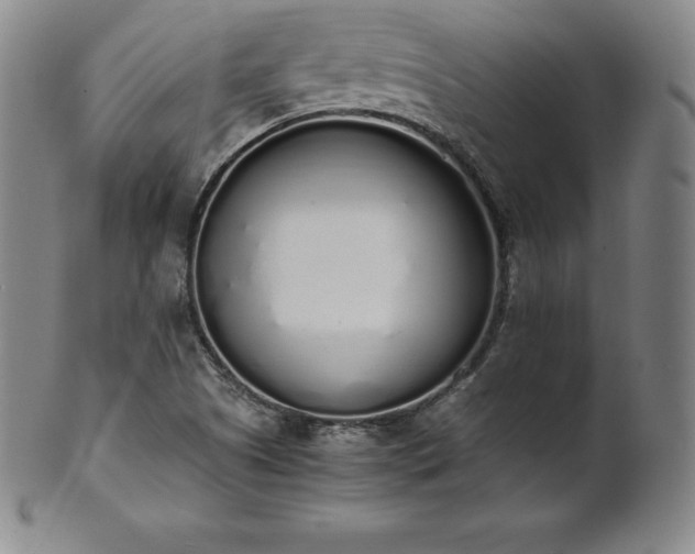 X0000101681505200807171359