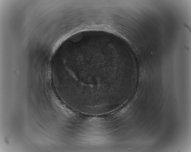 X0000101681506200807171359