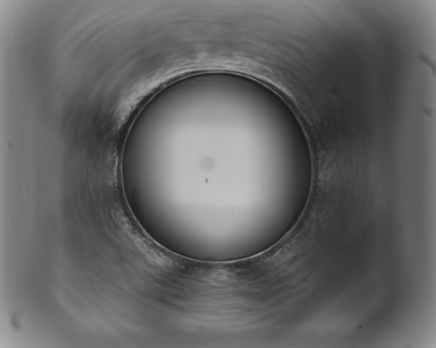 X0000101681507200807171359