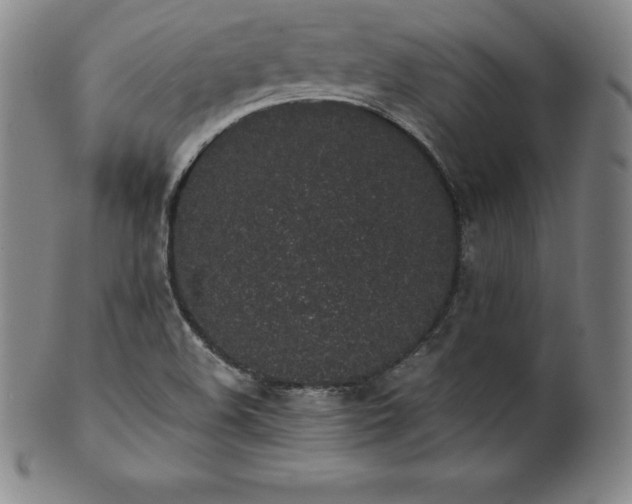 X0000101681508200807171359