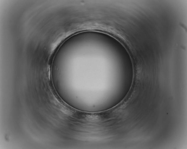 X0000101681509200807171359