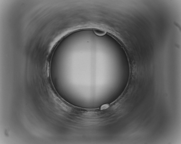 X0000101681510200807171359