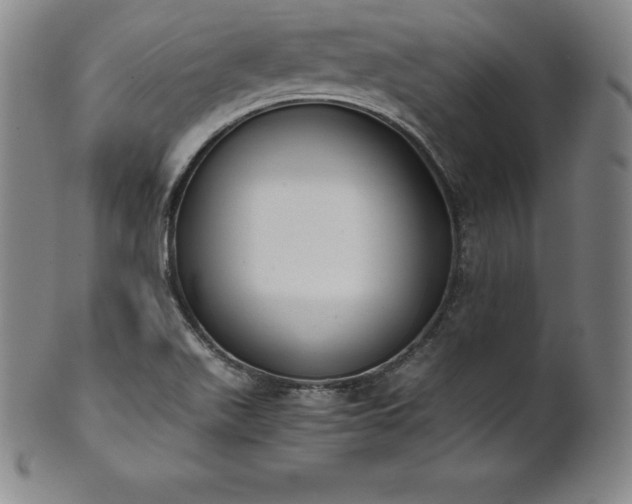 X0000101681511200807171359