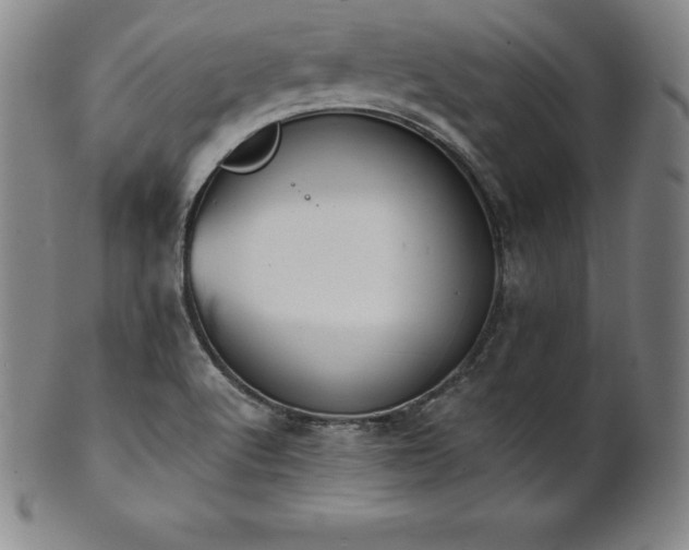 X0000101681512200807171359