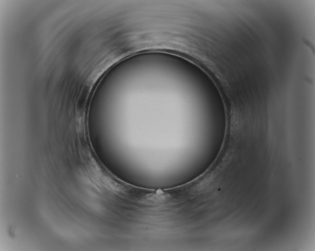 X0000101681513200807171359