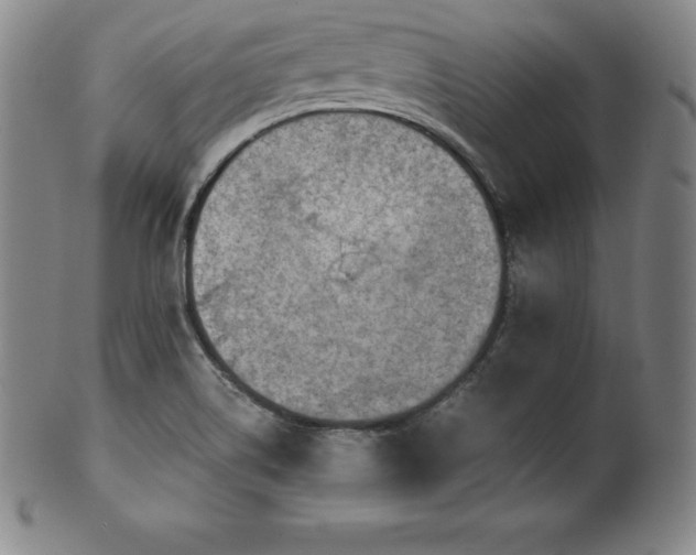 X0000101681514200807171359