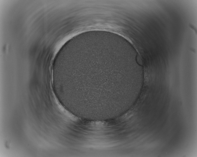 X0000101681515200807171359