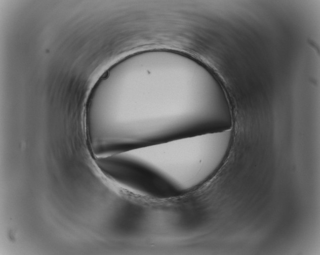 X0000101681516200807171359