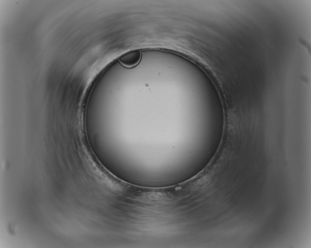 X0000101681517200807171359