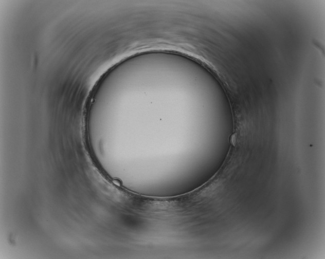 X0000101681518200807171400